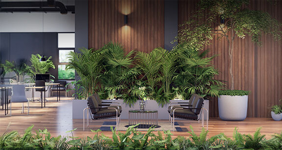 Büropflanzen 2025: Jetzt die besten Angebote sichern!